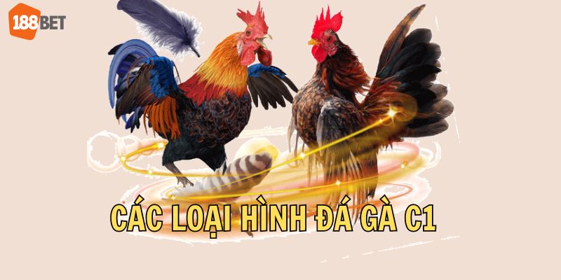 Các loại hình đá gà C1 tại nhà cái 188bet