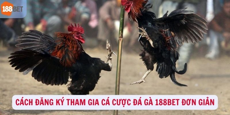 Hướng dẫn đăng ký cá cược đá gà 188Bet cực đơn giản