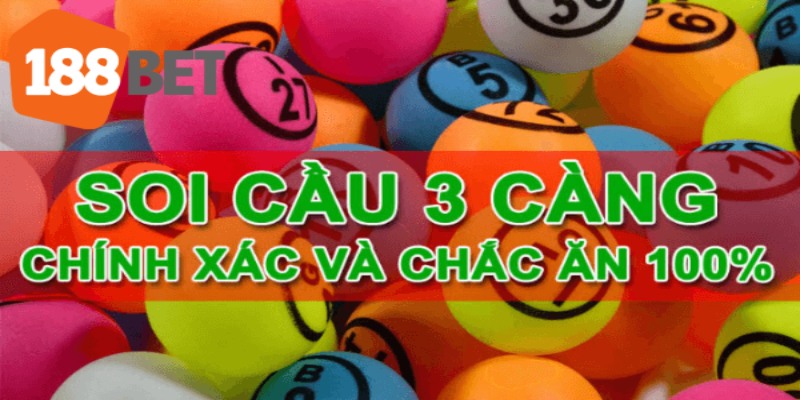 Cách bắt ba càng chất lượng bạn nên biết