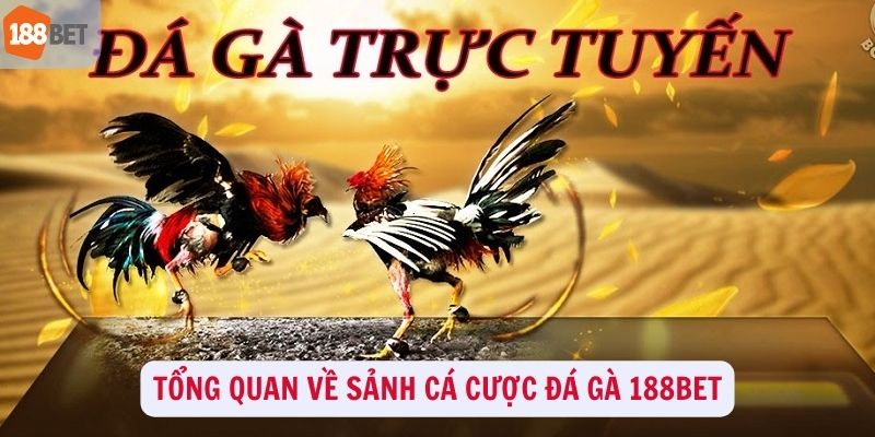 Tổng quan về sảnh cá cược đá gà 188Bet